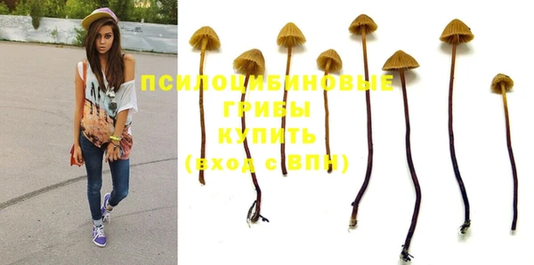 таблы Арсеньев