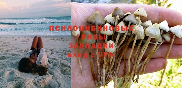 дживик Армянск